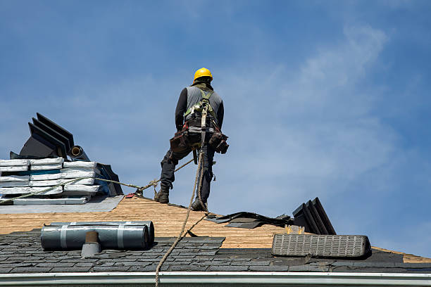 Professional Roof Replacement technician working in Bonfield, IL